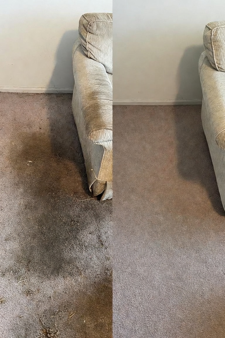 Carpet & armchair — full restoration before and after — RCA Upholstery and Carpet Cleaning
