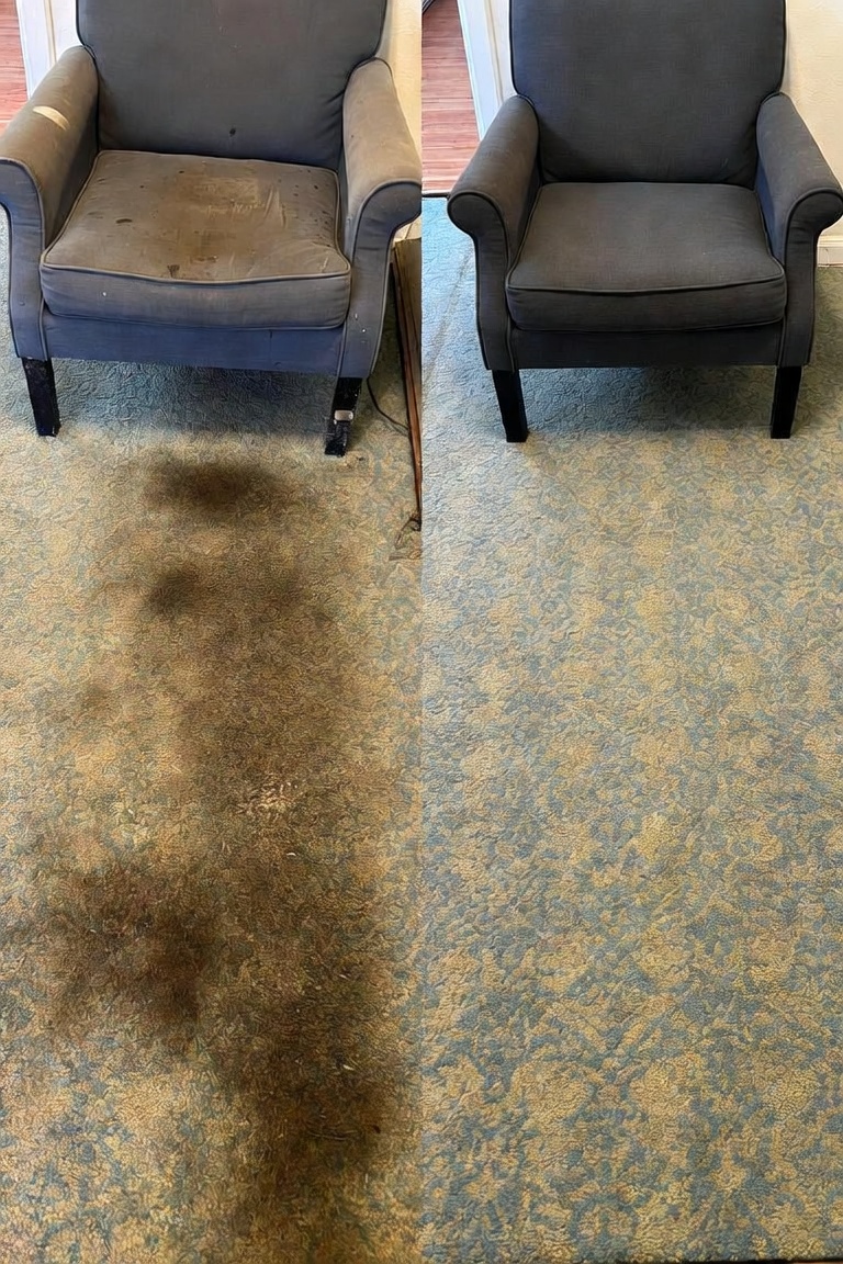 Living room carpet before and after cleaning — RCA Upholstery and Carpet Cleaning