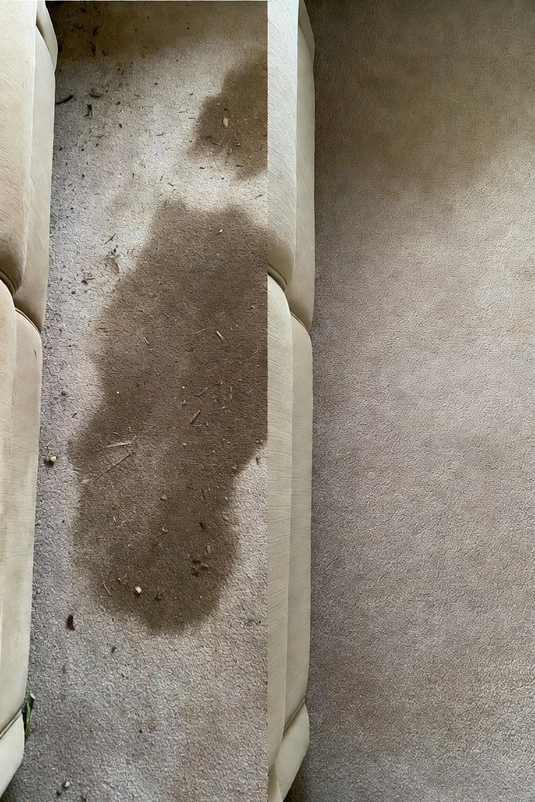 Sofa & carpet combo clean before and after — RCA Upholstery and Carpet Cleaning